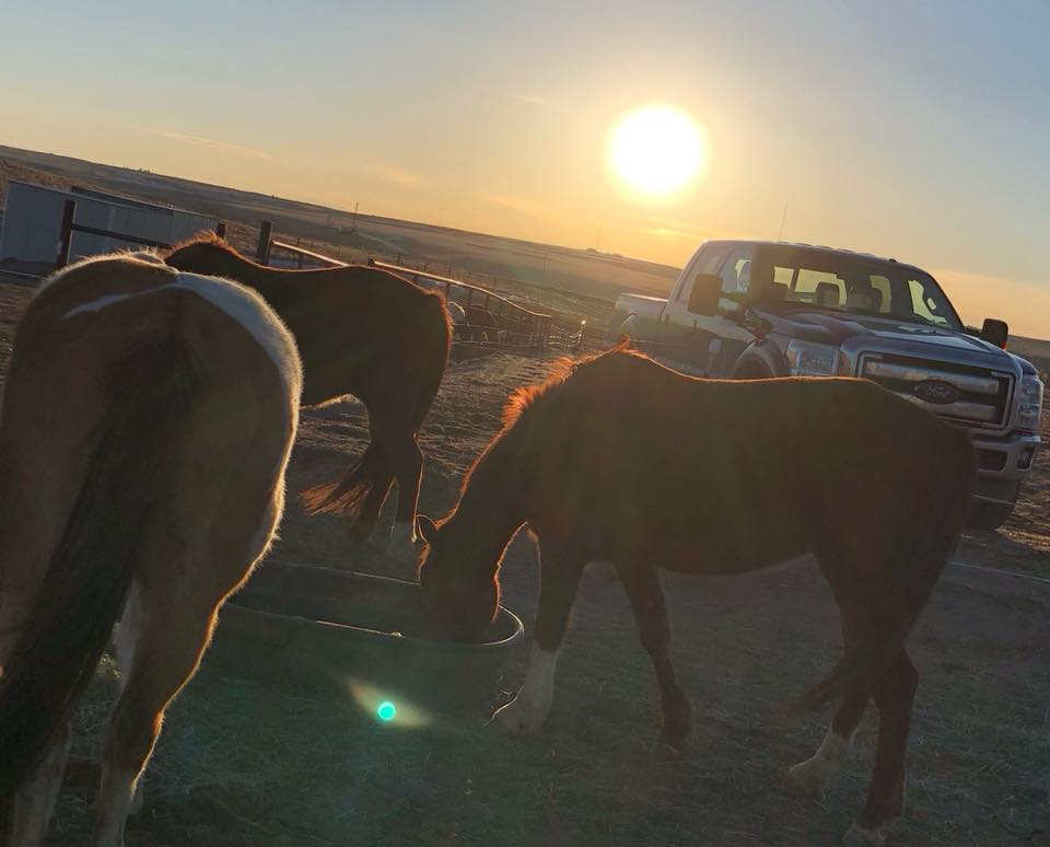 28276847_10216515416541222_2791729548062146773_n