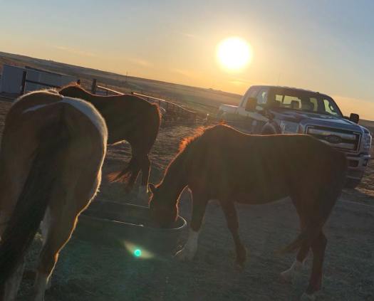 28276847_10216515416541222_2791729548062146773_n