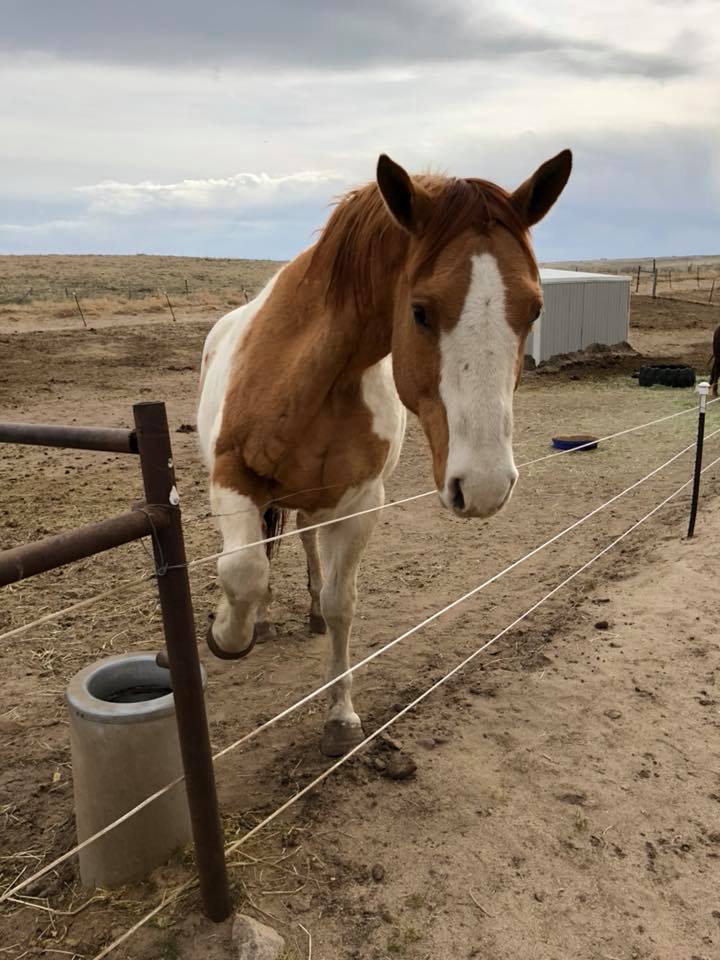 29793549_10216917347269239_355885551401828352_n