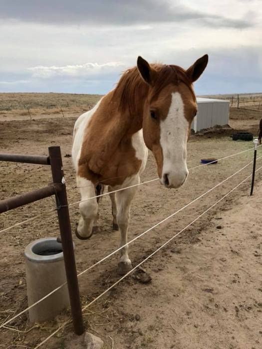 29793549_10216917347269239_355885551401828352_n